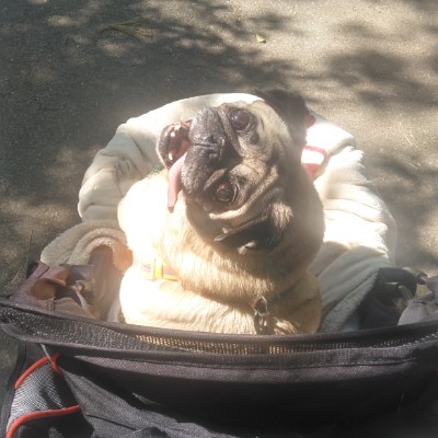 Michael Maverly post 1