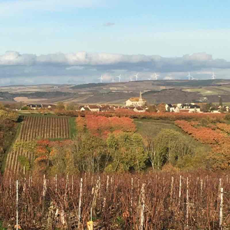 Couloirs of the lavoir with the vines walking route map in Coulanges-la-Vineuse