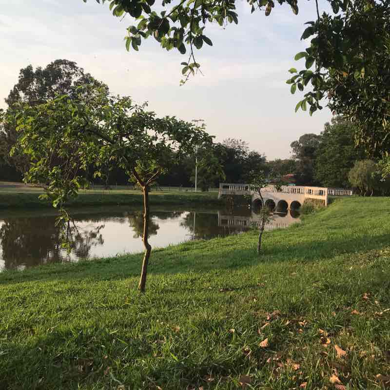 Rota da Ponte Clássica 