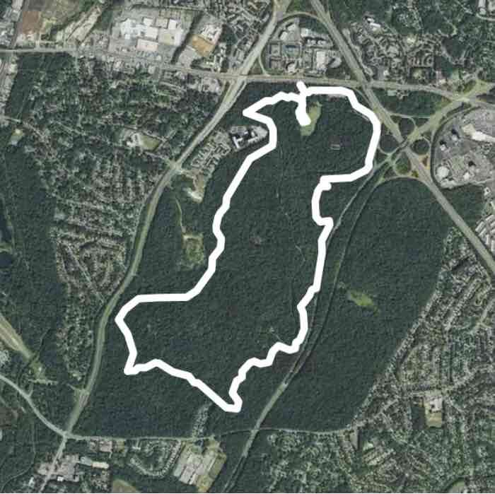 Monday Evening Hike @ Greenbelt Park