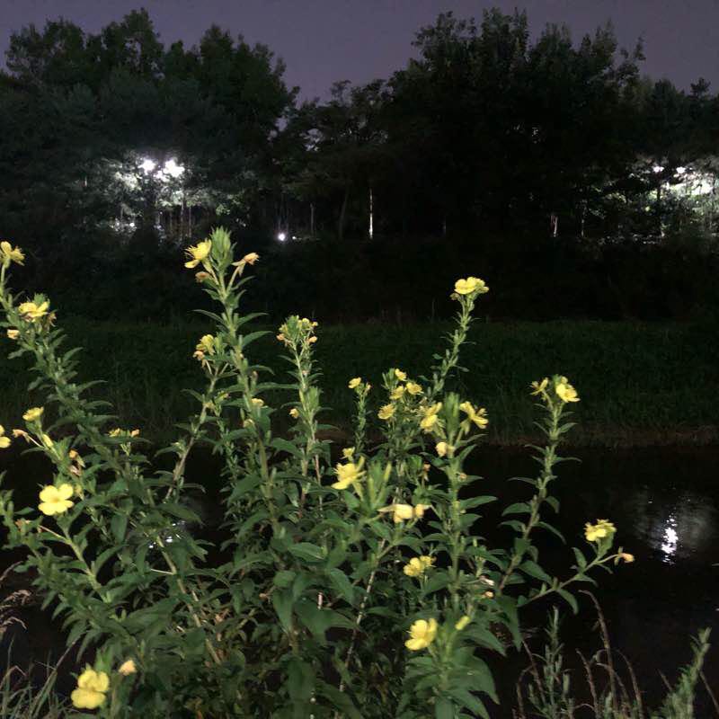 신동-광교호수공원