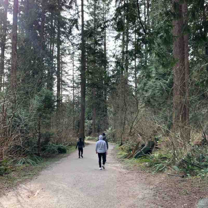 Burnaby Central Park