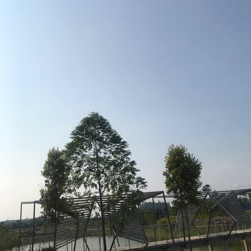 South Creek Setia Ecohill 2