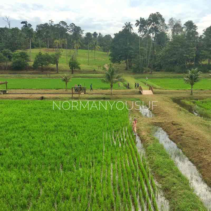 Taman botani shah apam