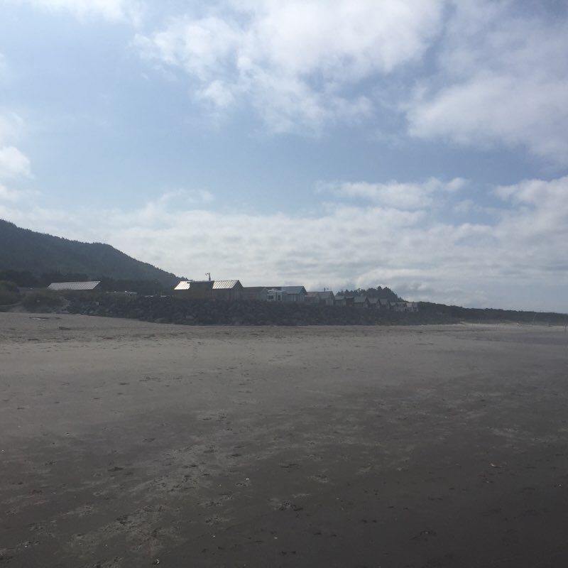 Shore wood walking route map in Garibaldi