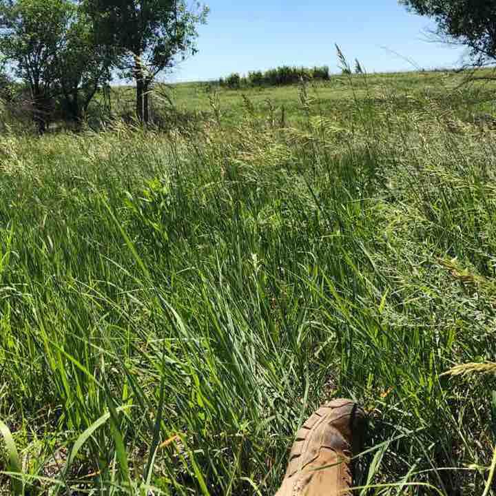 Engineer trail walking route map in Fort Leonard Wood