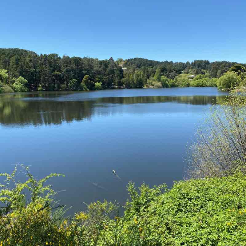 Daylesford Lake walking route map in Daylesford