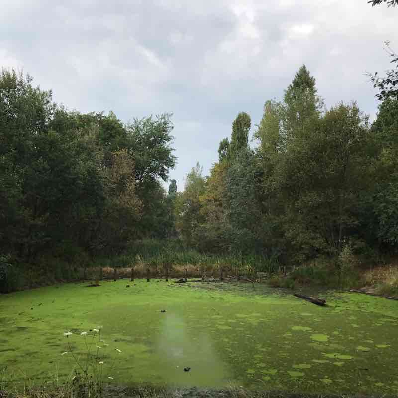 Away from the traffic walking route map in Langenfeld (Rheinland)