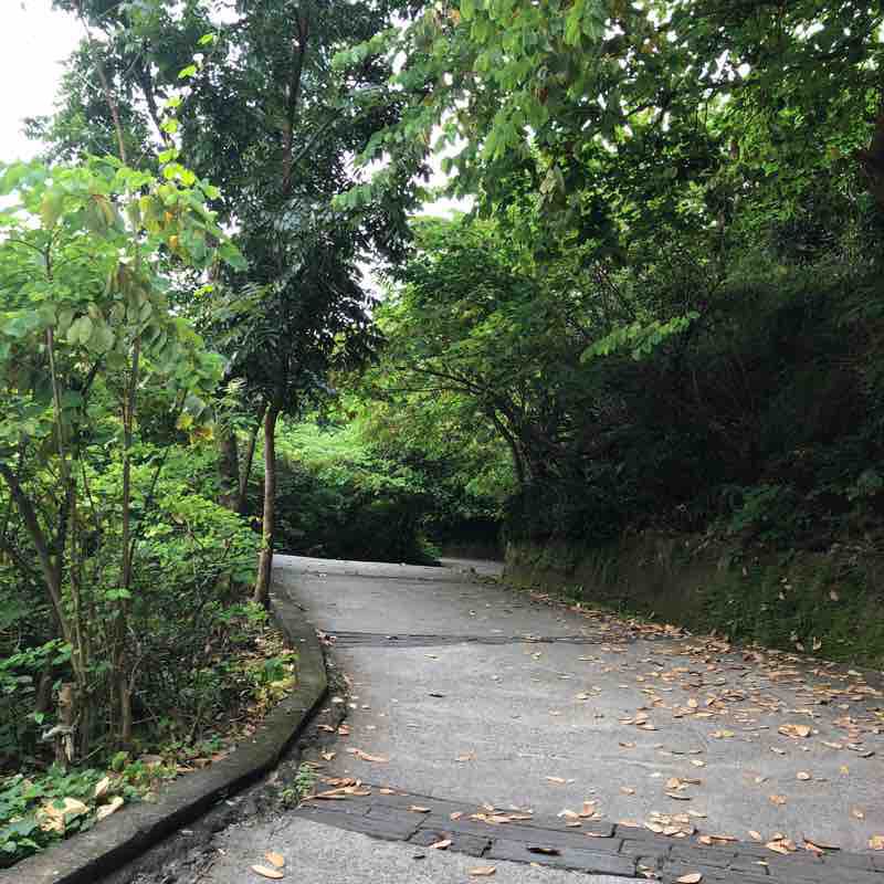 高雄市大社區觀音山