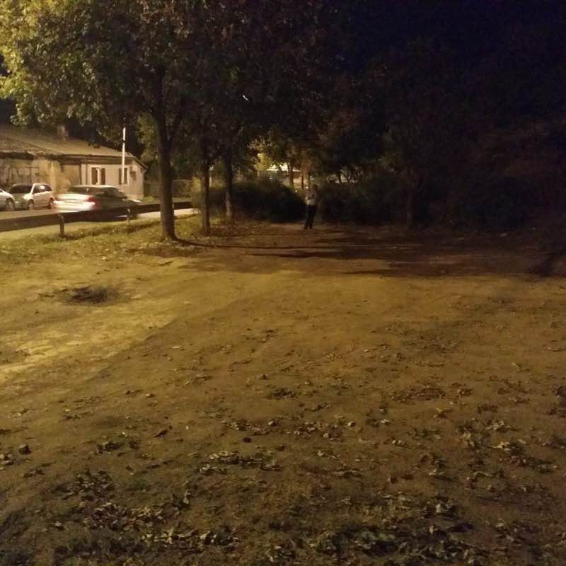 Trim staza Kosutnjak