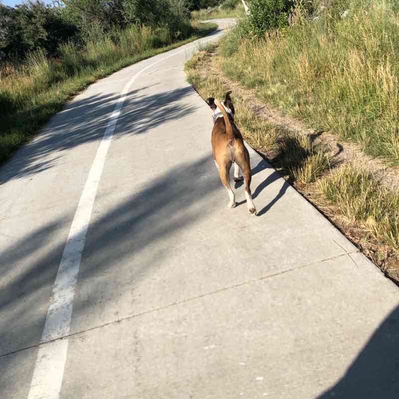 Morad Park walking route map in Casper