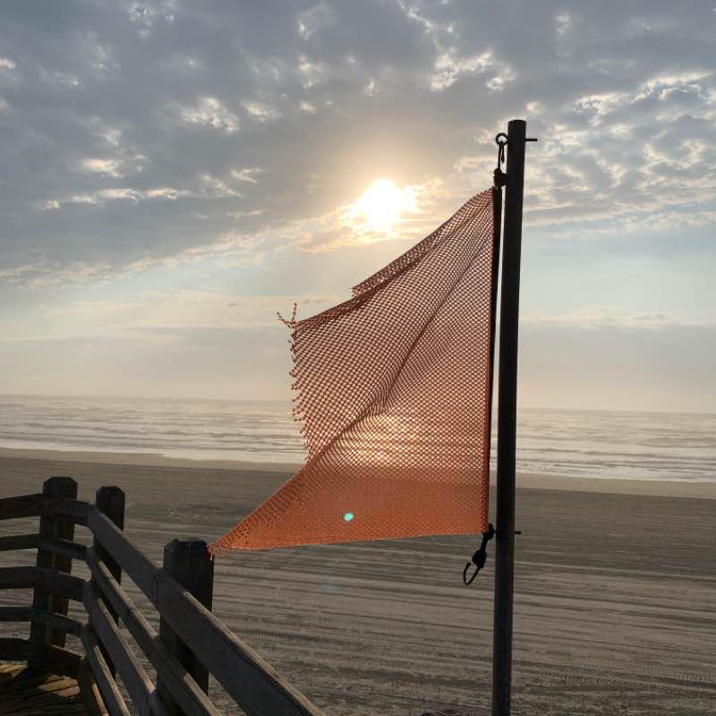 Cinnamon Shore to Palmilla Beach Resort