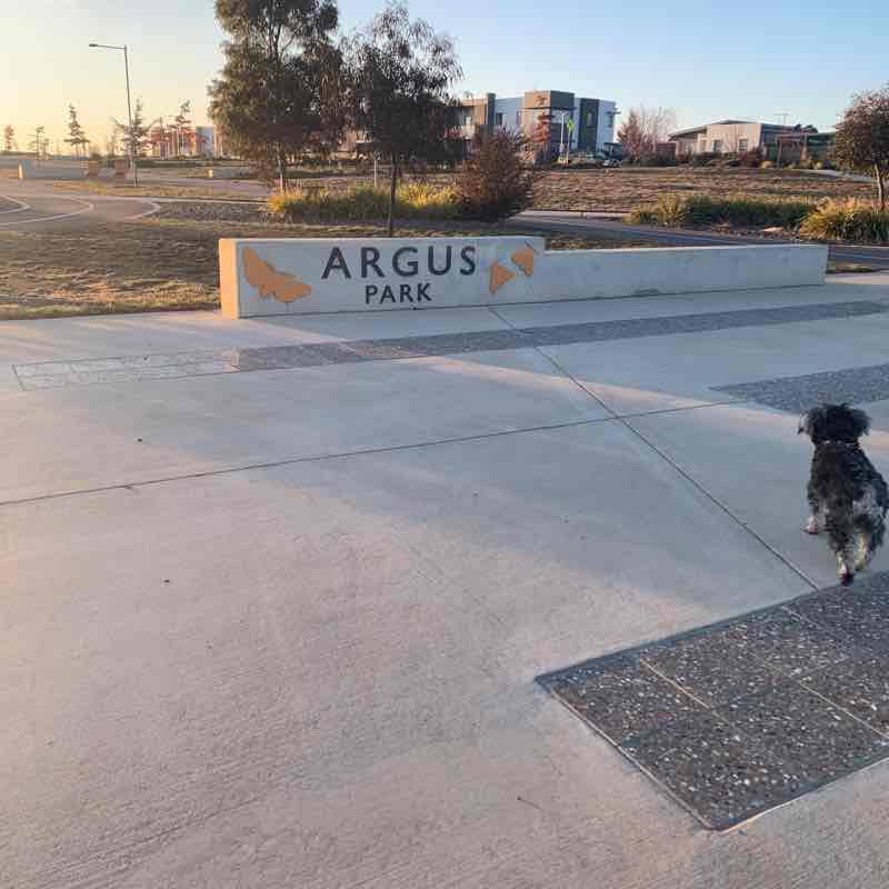 Argus park track walking route map in Wright