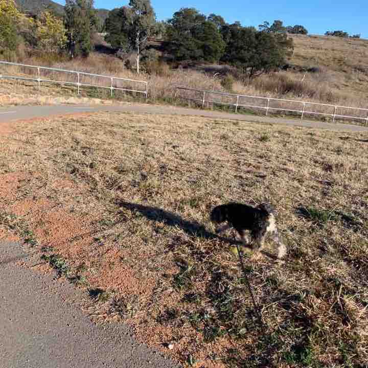 Holden’s Creek Pond 
