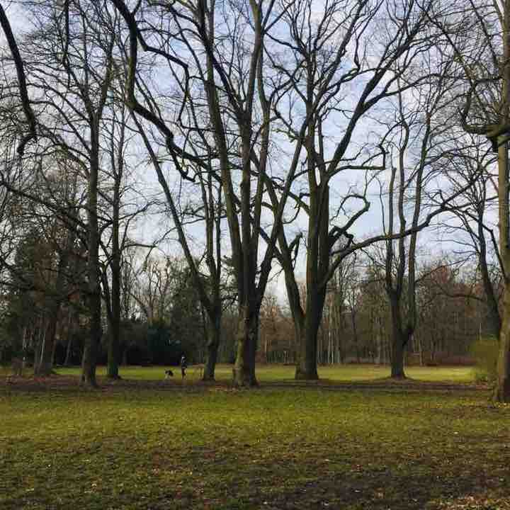 Heinrich-Laehr Park