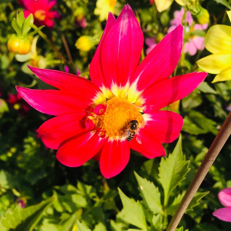 Jilani park walk 22/02/2020