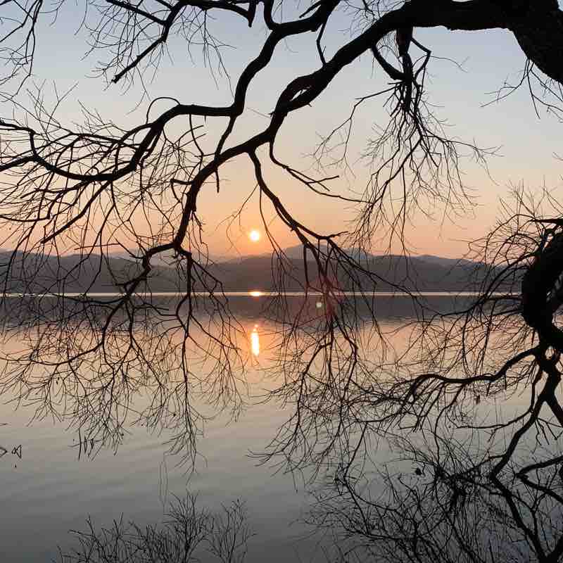 물의정원 아침걷기