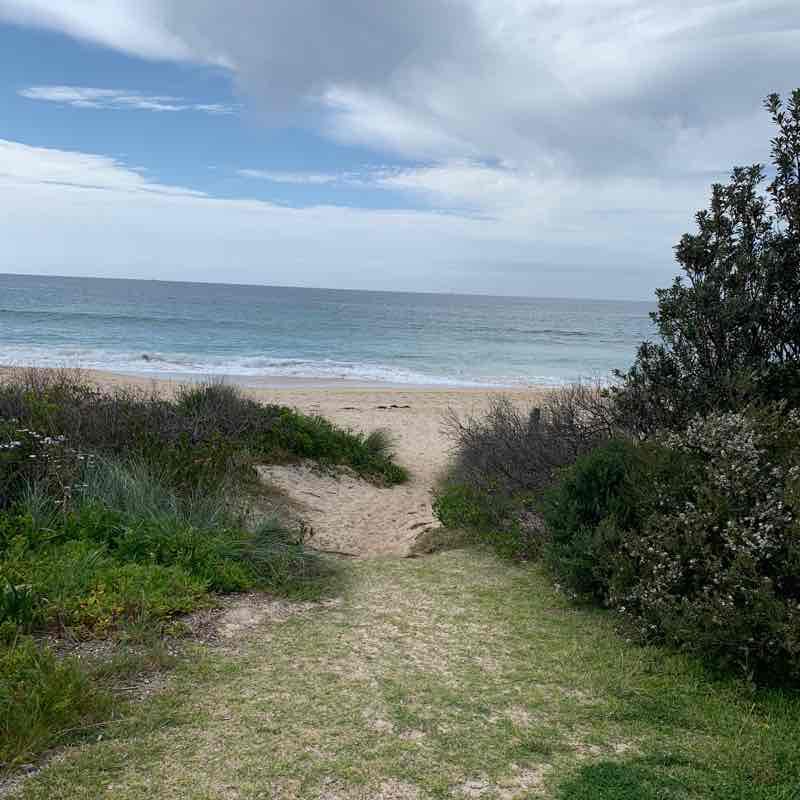 Mollymook Beach walk walking route map in Mollymook Beach