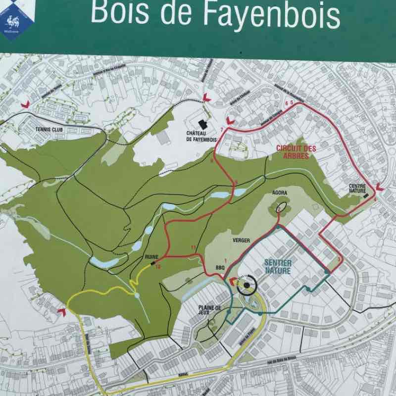 Bois de Fayenbois walking route map in Beyne-Heusay