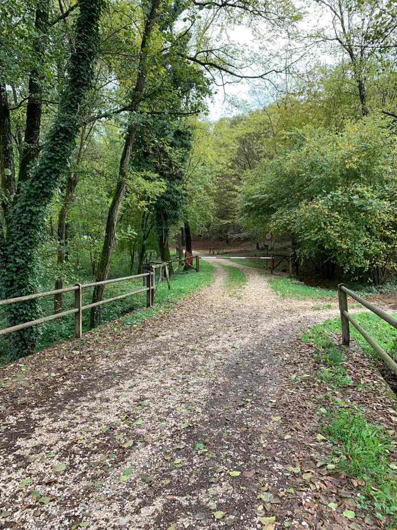 walking near me on Bosco di Plessiva walking route