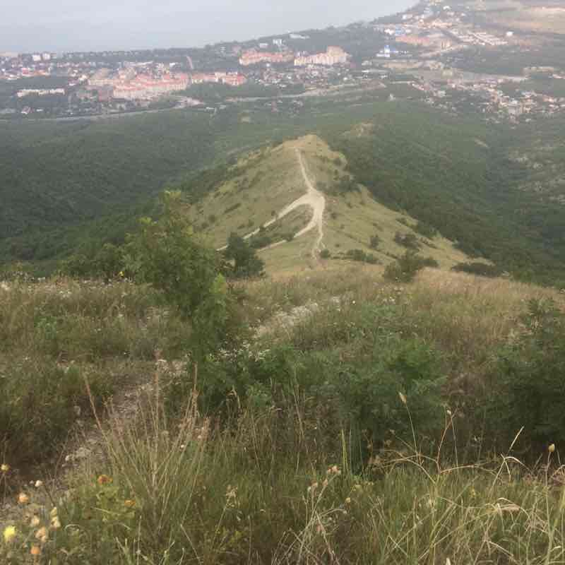 Дорога в Здоровье