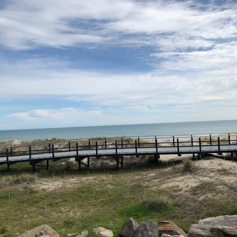 Seacliff beach  walking route map in Seacliff