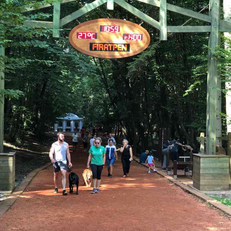 Belgrad Forest, Istanbul