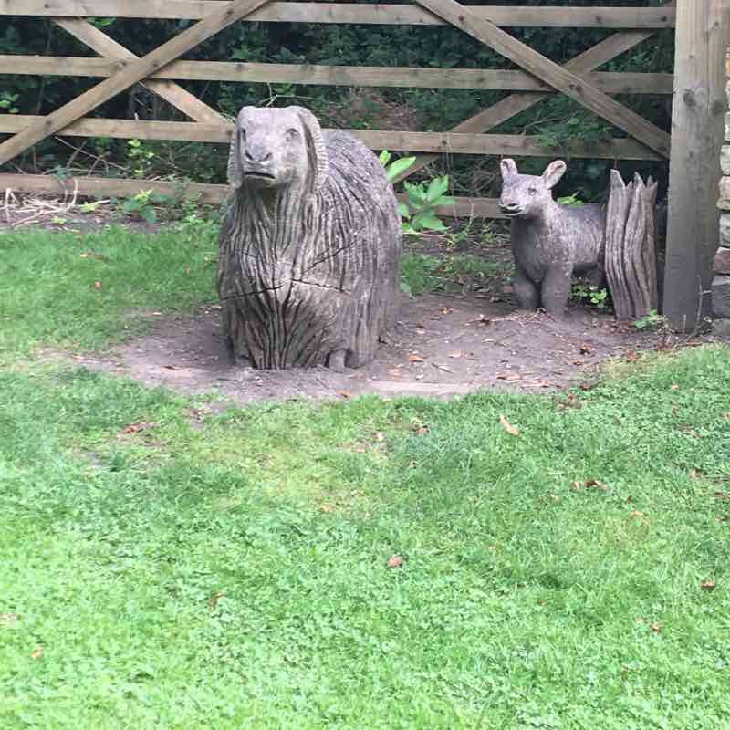 Knaresborough and Foolish Woods 😊 walking route map in Knaresborough