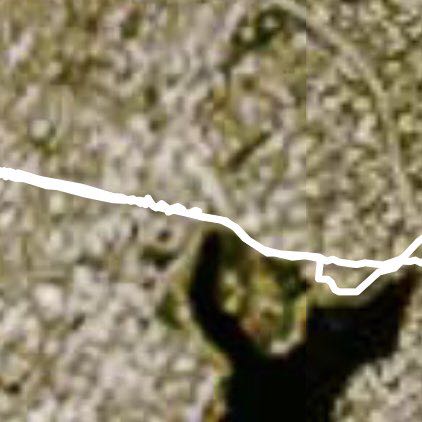 Oakland city walk to Lake Merritt/Lake Shore Ave