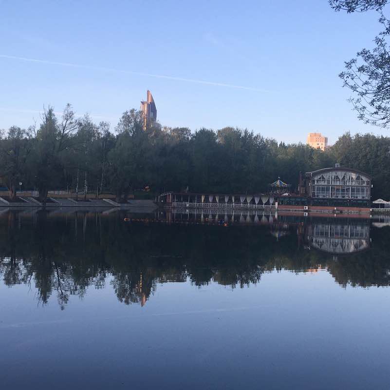 Озеро с утками