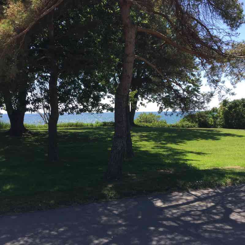 Trail at the Shores -2.25 k
