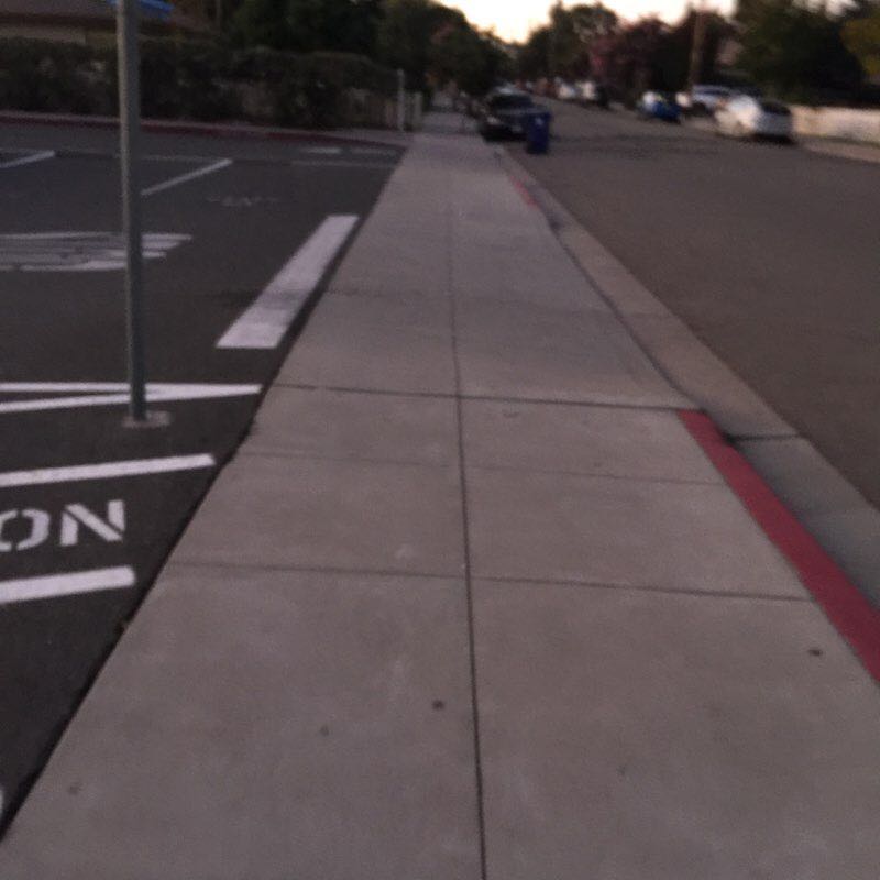 late walk