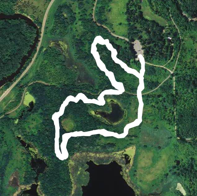 Lake Rebecca Deerwood hiking trail