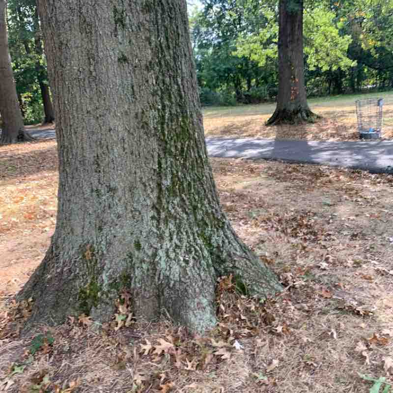 River side walking route map in Paramus