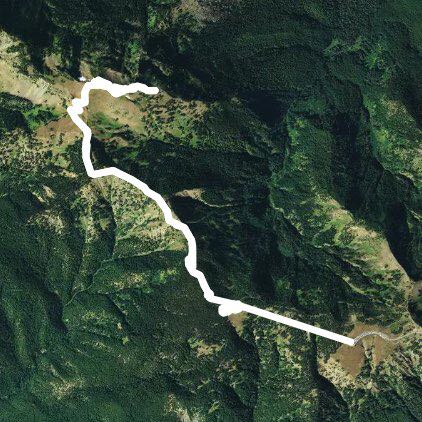 Olympuc Nat'l Park - on Hurricane Ridge Trail