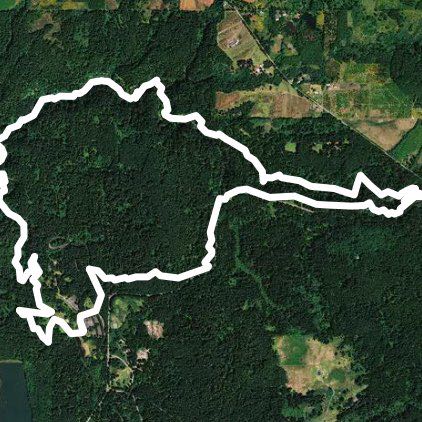 2019 Silver Falls Trail Runs