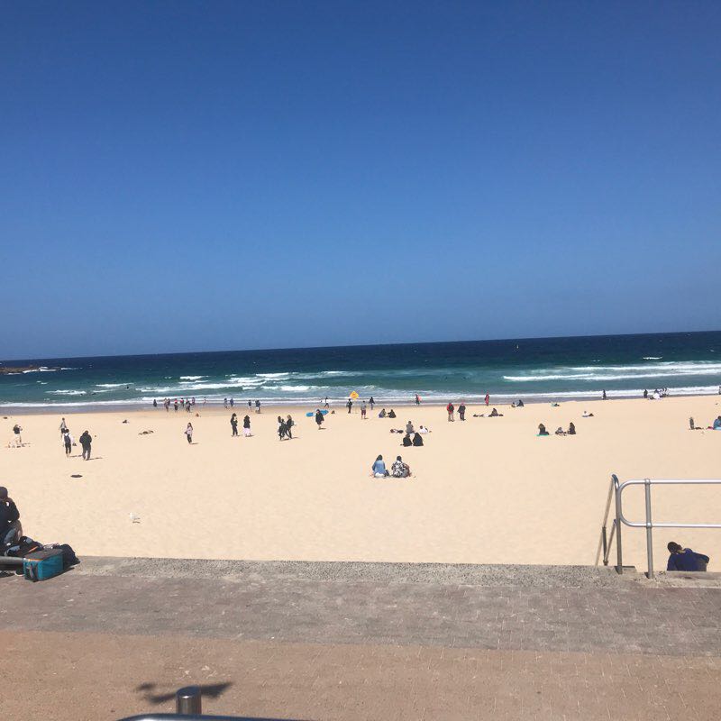 Eastern Suburbs Costal Walk walking route map in Bondi Beach