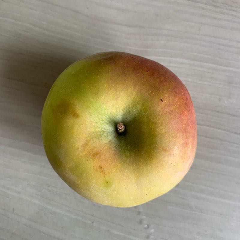 SMU to Shinsheng walking route map in Jecheon