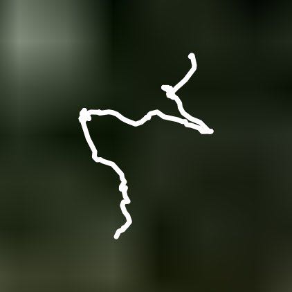 сокольники