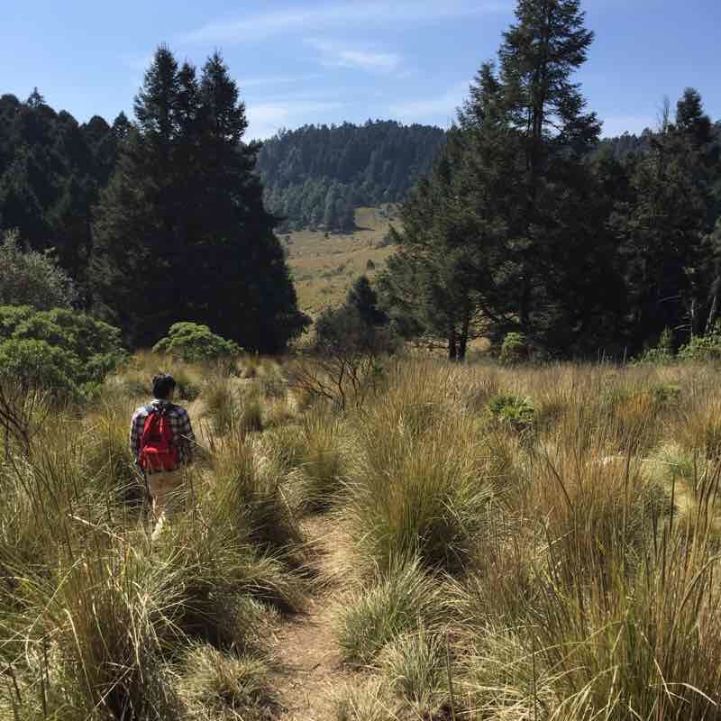 North Valley of the Rabbit Valley walking route map in Puerto las Cruces