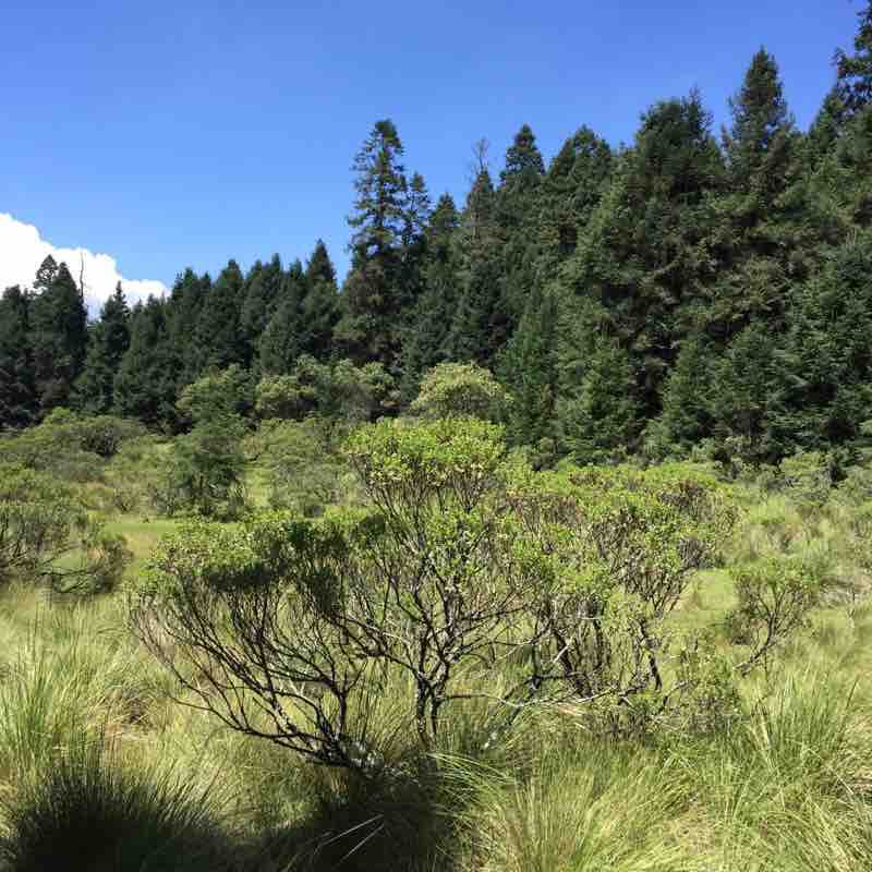 Rabbit Valley walking route map in Puerto las Cruces
