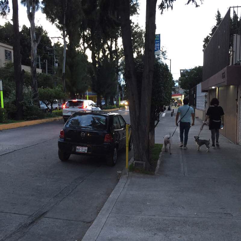 Jardin Balbuena Genaro Garcia and ChurchEC Walk Trail Mexico City, Mexico Pacer