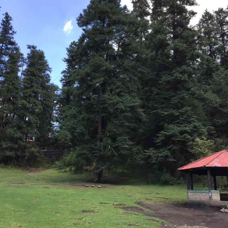Parque Ejidal San Tomas Tololoapan walking route map in Mexico City