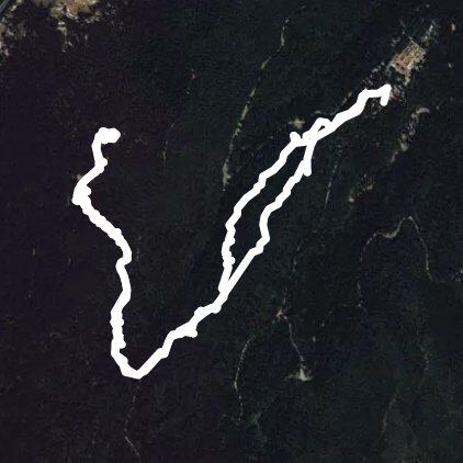 Desierto de los Leones Camino Cruz Blanca y cabaña