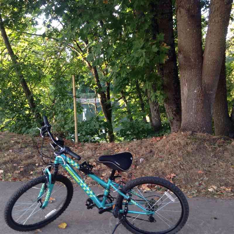 Dave clark the beautiful trail walking route map in Albany