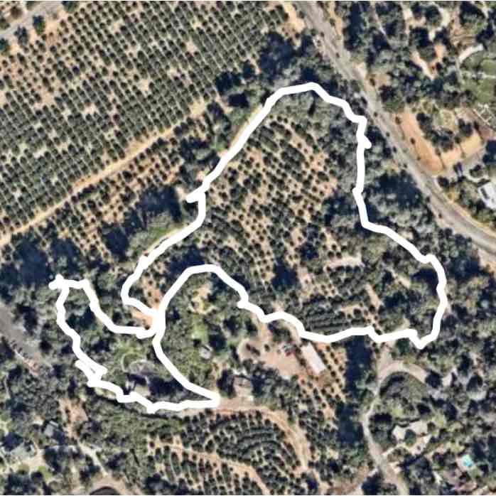 Prospect Park Morning Walk - Redlands, California, USA  Pacer