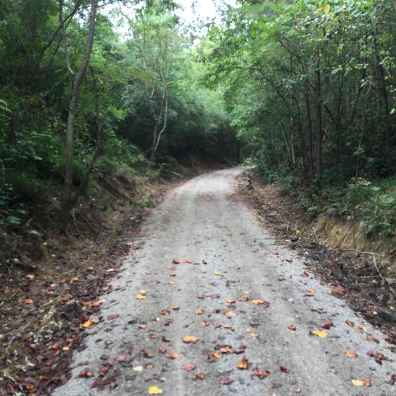Mineral Real Road site