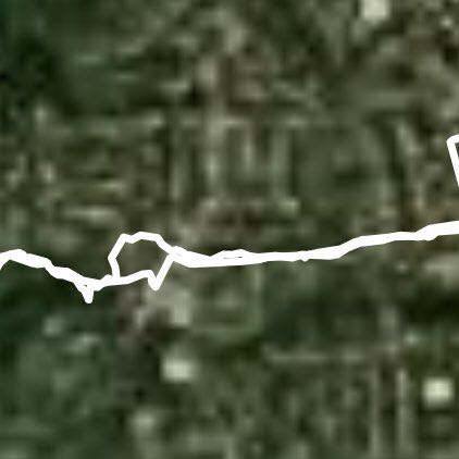 brighton- elmwood park run