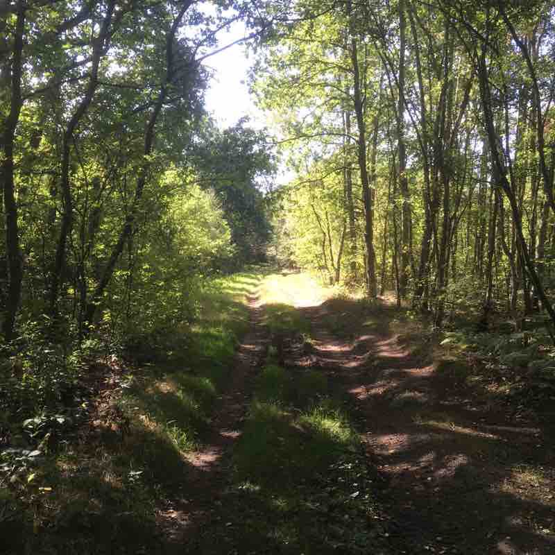 Walk around Hamse Hofstee in Ham  walking route map in Ham