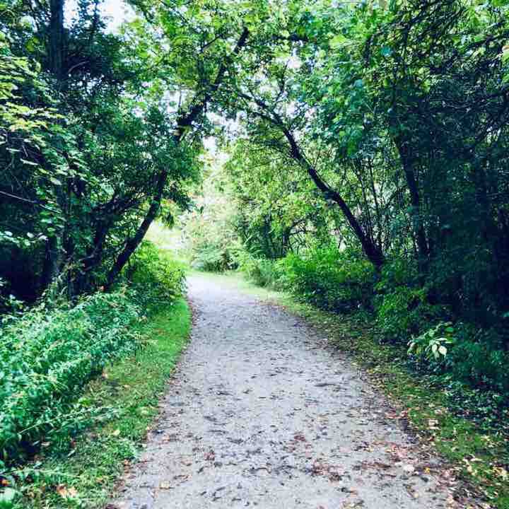 Sendero del río Humber Escalar Vaughan, Ontario, Canadá Pacer